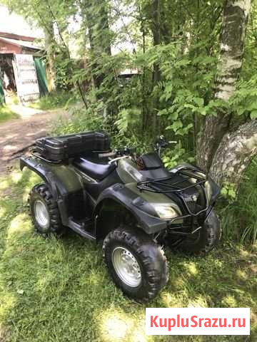 Квадроцикл Suzuki LT-F250 Пироговский - изображение 1