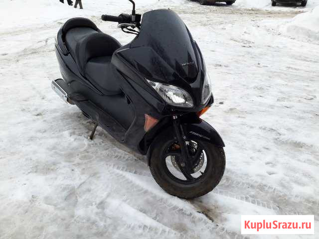 Honda forza 2008г Пермь - изображение 1