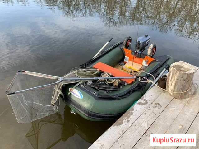 Stingray 230 kib и мотор Sia-pro 2,5 Бобров - изображение 1