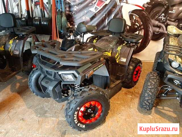 Квадроцикл motoland ATV 200 wild track Фрязино - изображение 1