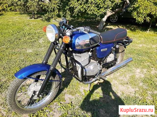 Продам явы Сальск - изображение 1