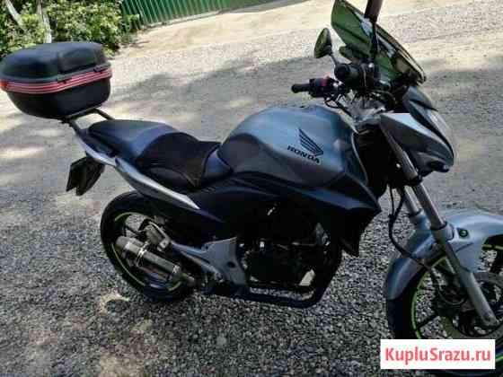 Stels flex 250 Ивантеевка