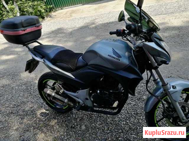 Stels flex 250 Ивантеевка - изображение 1