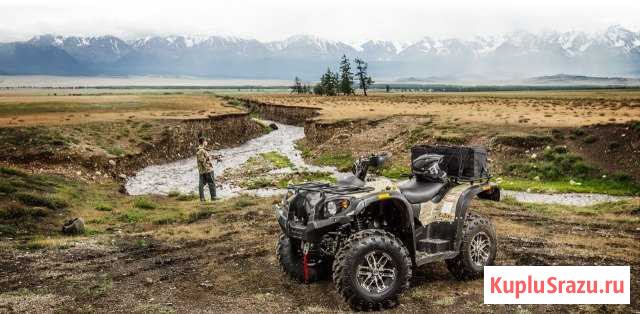 Квадроцикл Stels ATV 600 Y Leopard новый Воскресенское - изображение 1