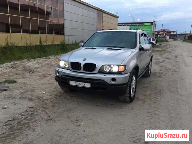 BMW X5 4.4 AT, 2003, 266 262 км Новый Уренгой - изображение 1