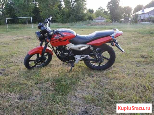 Cobra crossfire Донское - изображение 1