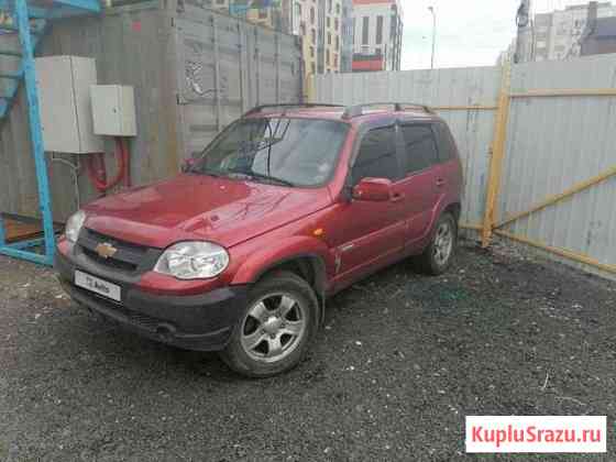Chevrolet Niva 1.7 МТ, 2010, 302 145 км Санкт-Петербург