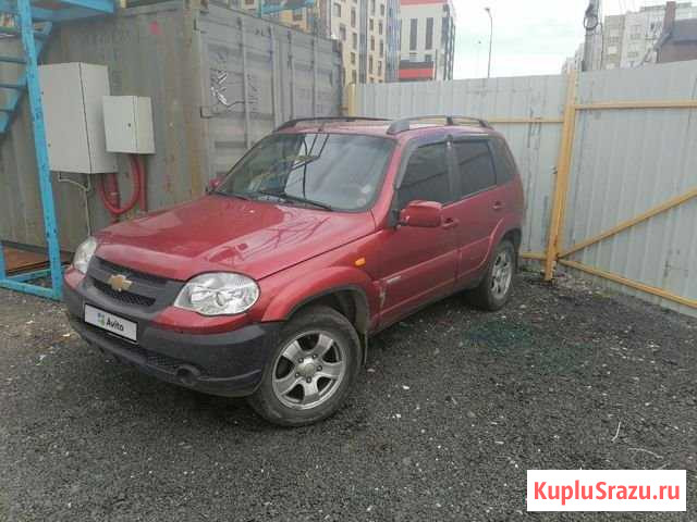 Chevrolet Niva 1.7 МТ, 2010, 302 145 км Санкт-Петербург - изображение 1