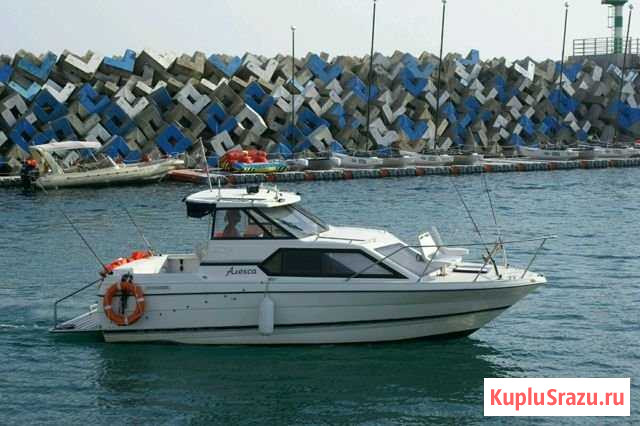 Bayliner 2452 Сочи - изображение 1