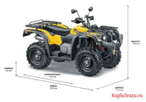 Снегоболотоход Stels ATV 500 YS Leopard Ухта