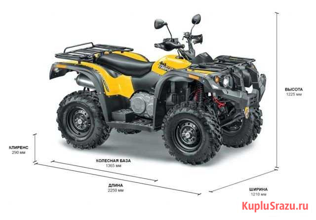 Снегоболотоход Stels ATV 500 YS Leopard Ухта - изображение 1