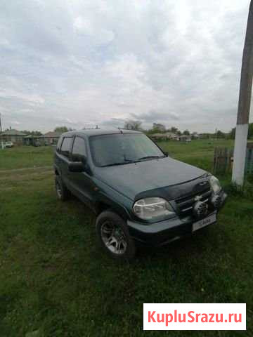 Chevrolet Niva 1.7 МТ, 2006, 188 660 км Поворино - изображение 1
