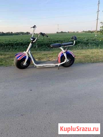 Ситикоко Васюринская - изображение 1