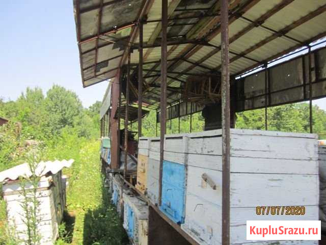 Пчеловодный прицеп Майкоп - изображение 1
