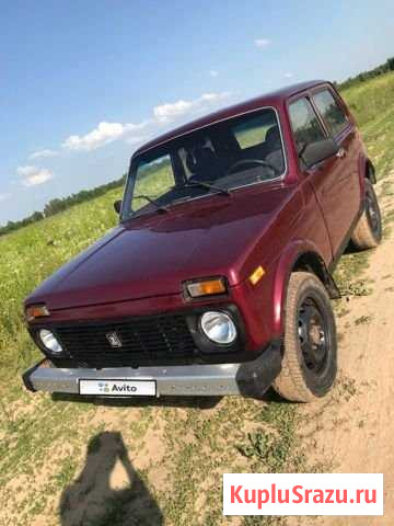 LADA 4x4 (Нива) 1.7 МТ, 2000, 150 000 км Бор - изображение 1