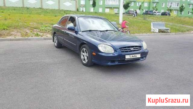 Hyundai Sonata 2.5 AT, 1999, 190 000 км Курск - изображение 1