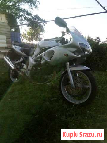 Suzuki sv650 Нижний Ломов - изображение 1
