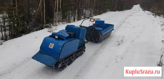 Мотобуксировщик бтс-13 Малошуйка - изображение 1