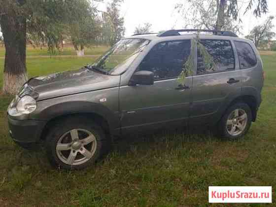 Chevrolet Niva 1.7 МТ, 2012, 107 000 км Целина