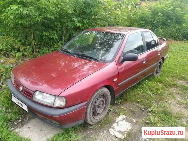 Nissan Primera 2.0 МТ, 1994, битый, 350 000 км Киров - изображение 1