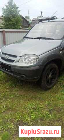 Chevrolet Niva 1.7 МТ, 2015, 32 100 км Холмогоры - изображение 1