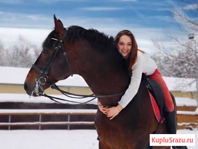 Конный фотограф Подольск - изображение 1