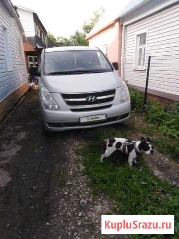 Hyundai Grand Starex 2.5 AT, 2010, 210 000 км Зарайск - изображение 1