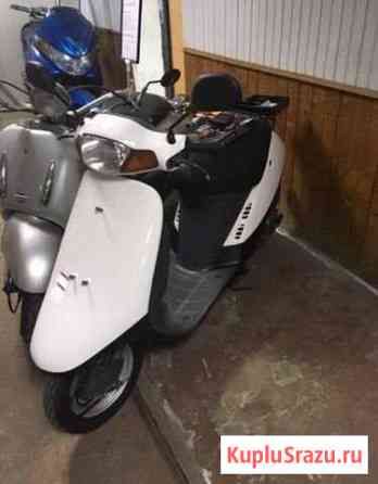 Honda Tack Новороссийск