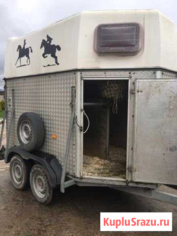 Коневоз Humbaur Колтуши - изображение 1