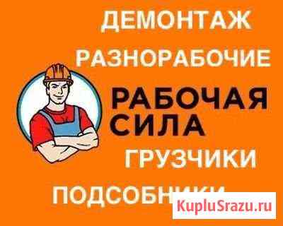 Разнорабочие Щёлково