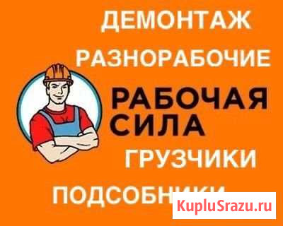 Разнорабочие Щёлково - изображение 1