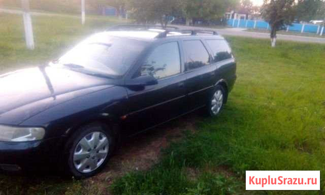 Opel Vectra 1.8 AT, 1998, 300 000 км Тбилисская - изображение 1