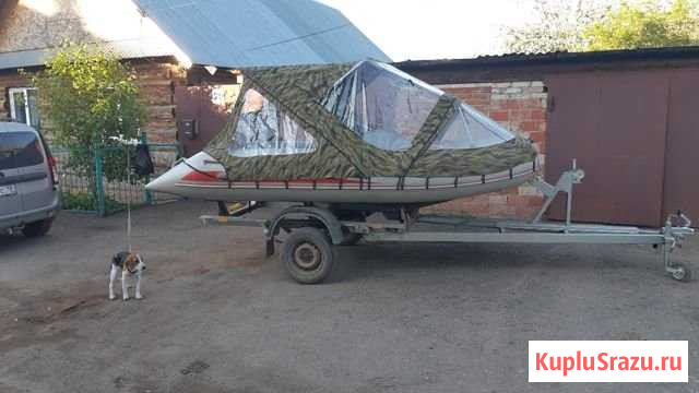 Баджер Ижевск - изображение 1