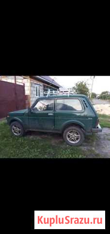 LADA 4x4 (Нива) 1.6 МТ, 1999, 200 000 км Борисоглебск - изображение 1