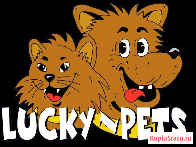 Гостиница-передержка животных (зооняня, зоотакси) Серпухов - изображение 1