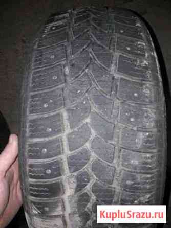 Шины 205/55 r16 Tigar Sigura stud Вятские Поляны