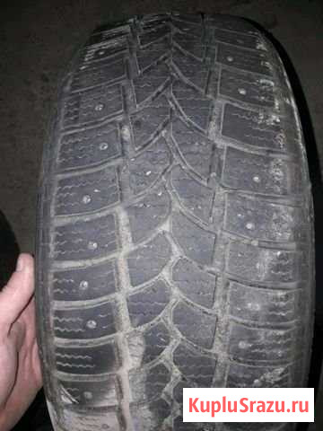 Шины 205/55 r16 Tigar Sigura stud Вятские Поляны - изображение 1