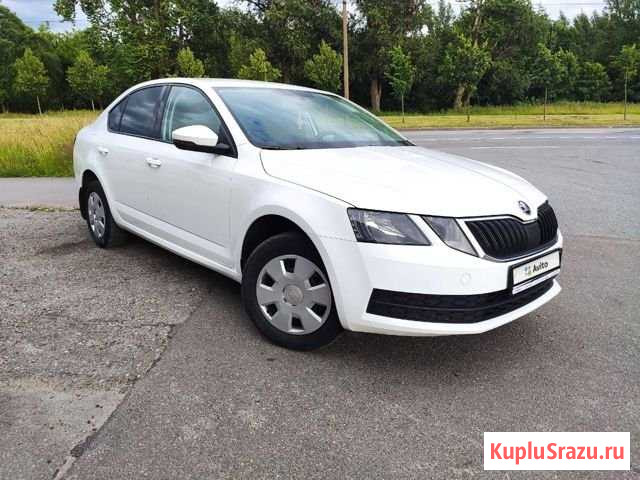 Skoda Octavia 1.6 AT, 2019, 73 500 км Санкт-Петербург - изображение 1