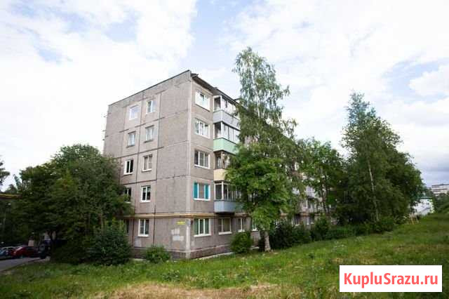 2-комнатная квартира, 49 м², 5/5 эт. на продажу в Петрозаводске Петрозаводск - изображение 1