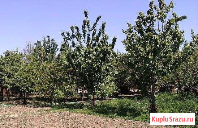 Дом 47 м² на участке 20 сот. на продажу в Славянске-на-Кубани Славянск-на-Кубани - изображение 2