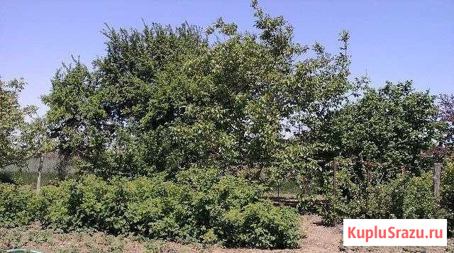 Дом 47 м² на участке 20 сот. на продажу в Славянске-на-Кубани Славянск-на-Кубани - изображение 1