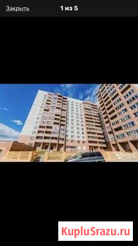 Сдам офисное помещение с юридическим адресом Чита - изображение 1