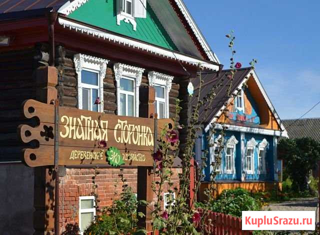 Участок ИЖС 50 сот. на продажу в Плесе Плес - изображение 2