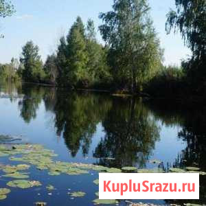 Участок ИЖС 12 сот. на продажу в Новосибирске Новосибирск - изображение 1