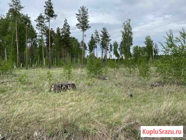 Участок промназначения 600 сот. на продажу в Богандинском Богандинский - изображение 2