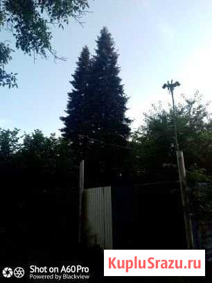 Дача 20 м² на участке 6 сот. на продажу в Краснодаре Краснодар - изображение 3