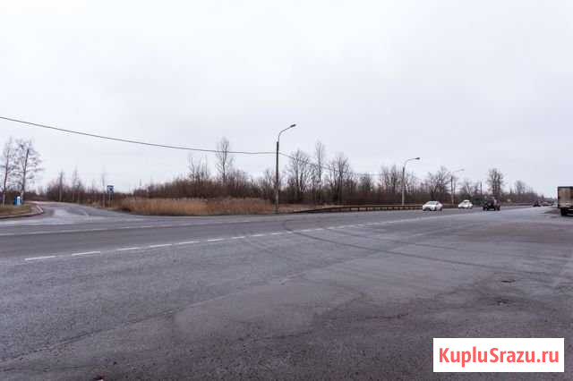 Участок промназначения 77 сот. на продажу в Колпино Колпино - изображение 3