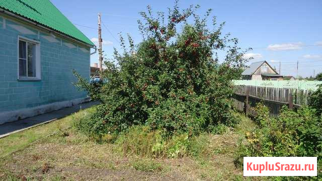 Дом 64 м² на участке 10 сот. на продажу в Павловске Алтайского края Павловск - изображение 3