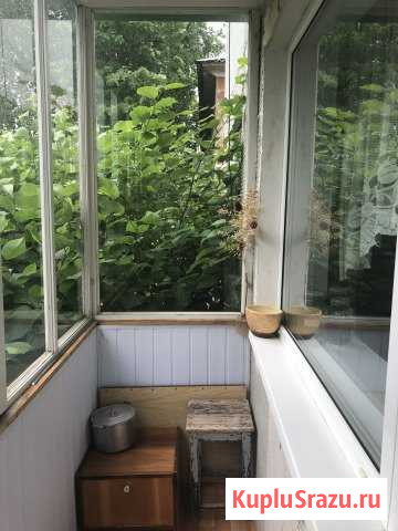 1-комнатная квартира, 33 м², 1/2 эт. на продажу в Великом Новгороде Великий Новгород - изображение 2