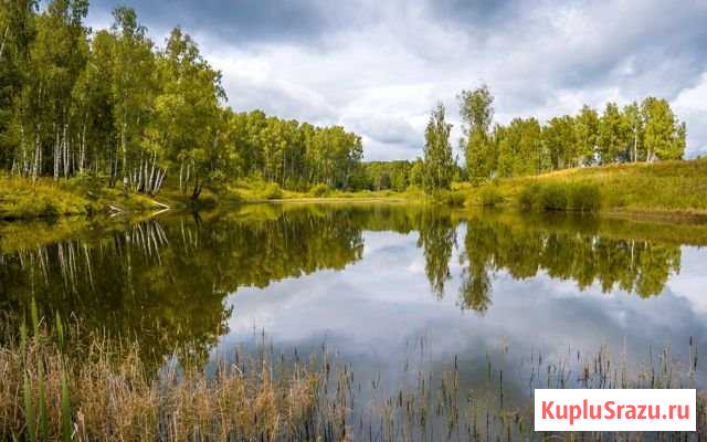 Участок СНТ, ДНП 6 сот. на продажу в Мещерино Мещерино - изображение 2